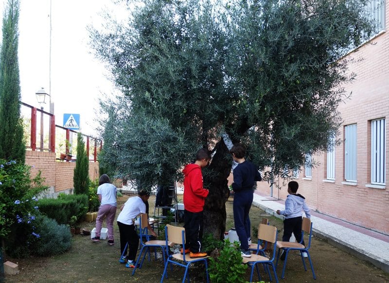 Alumnos del CEIP Argantonio en el huerto escolar. Imagen de Huertos Escolares Ecológicos.