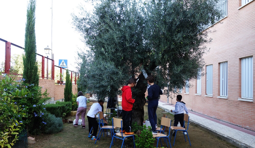 Alumnos del CEIP Argantonio en el huerto escolar. Imagen de Huertos Escolares Ecológicos.