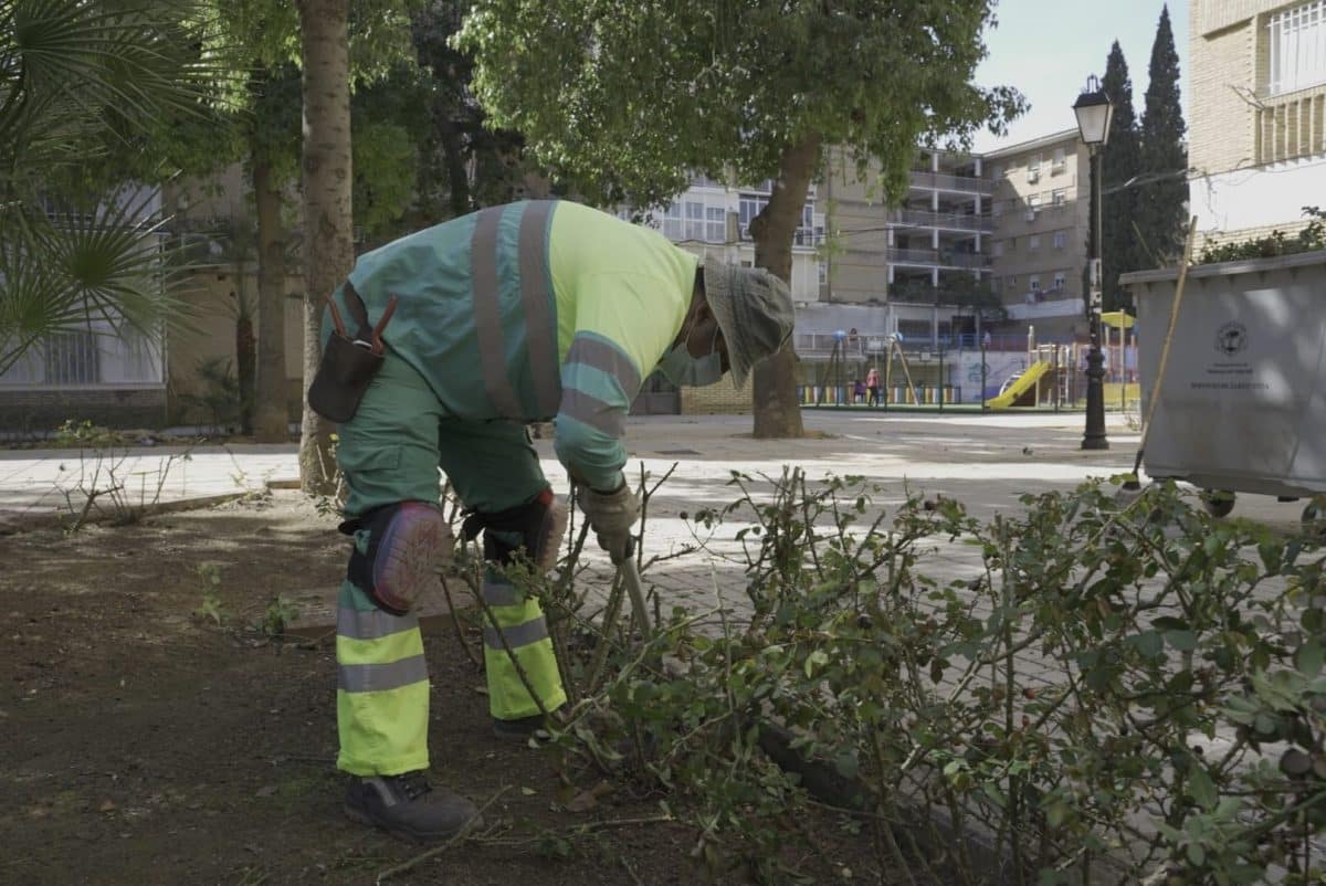 Trabajos de limpieza en Mairena MAIRENA
