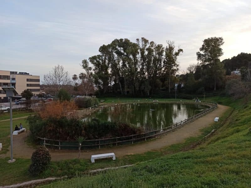Parque de Valparaíso de San Juan, con su lago habitado por patos EUROPA PRESS
