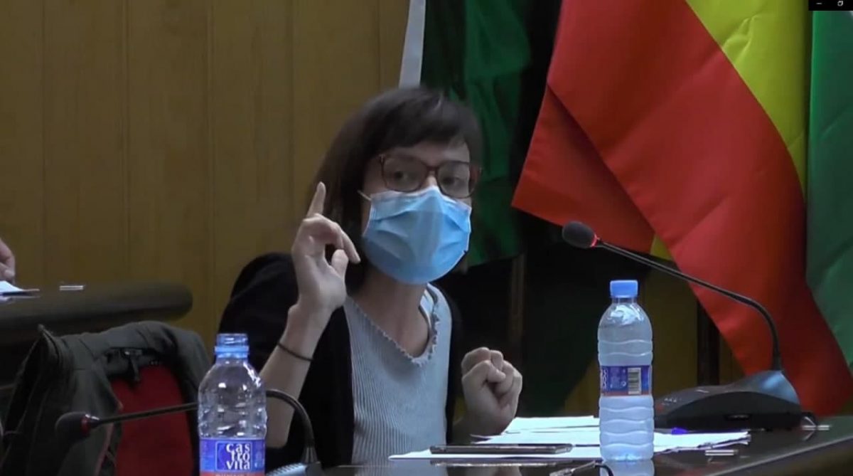 Laura Pérez durante un Pleno municipal.