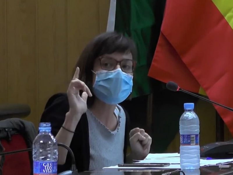 Laura Pérez durante un Pleno municipal.