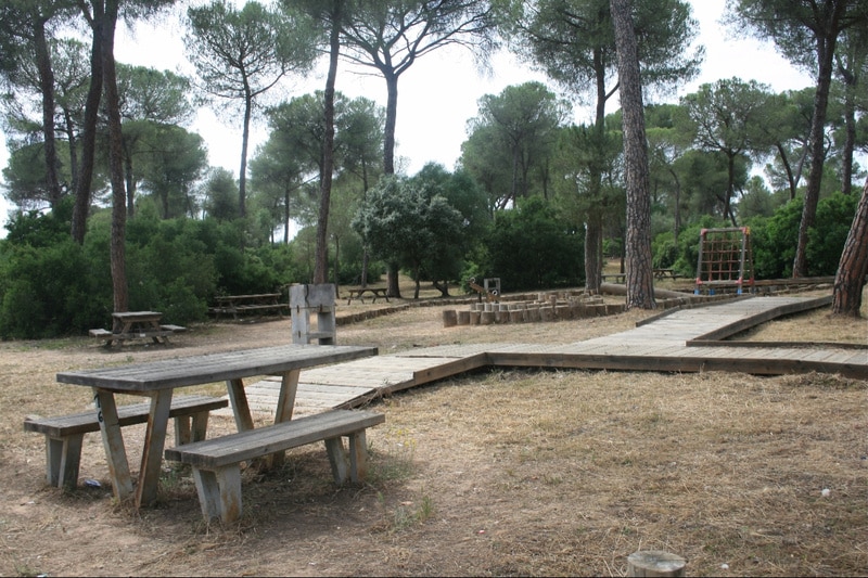 Merendero de los Pinares de Aznalcázar. ASAJA Sevilla