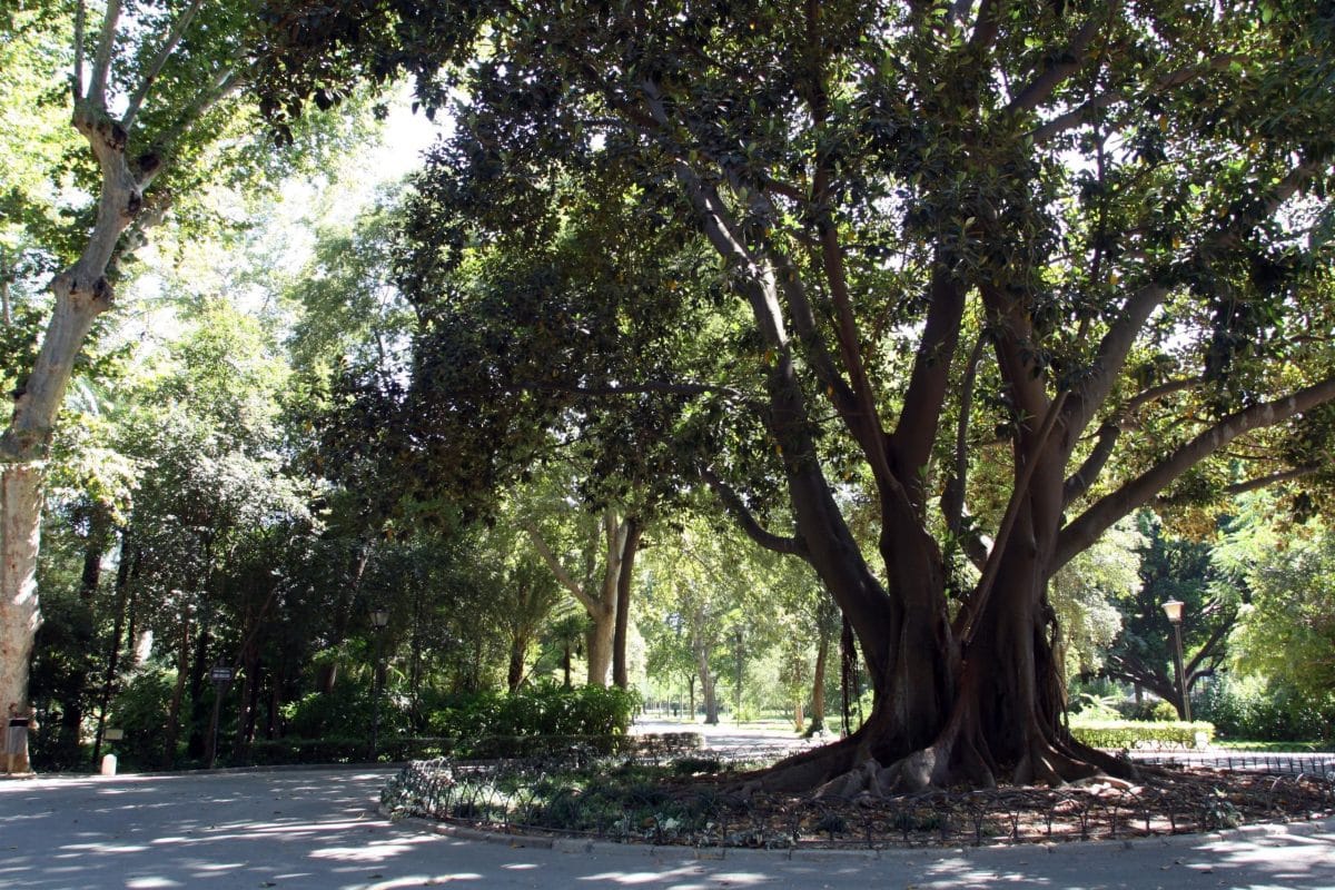 Parque María Luisa en Sevilla