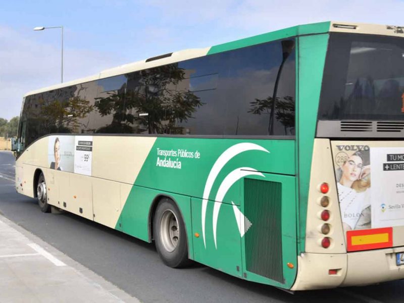 Autobuses del Consorcio de Transporte Metropolitano /AD