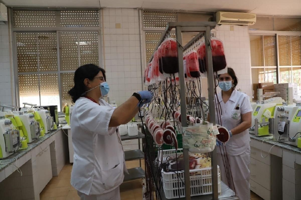 donación de sangre