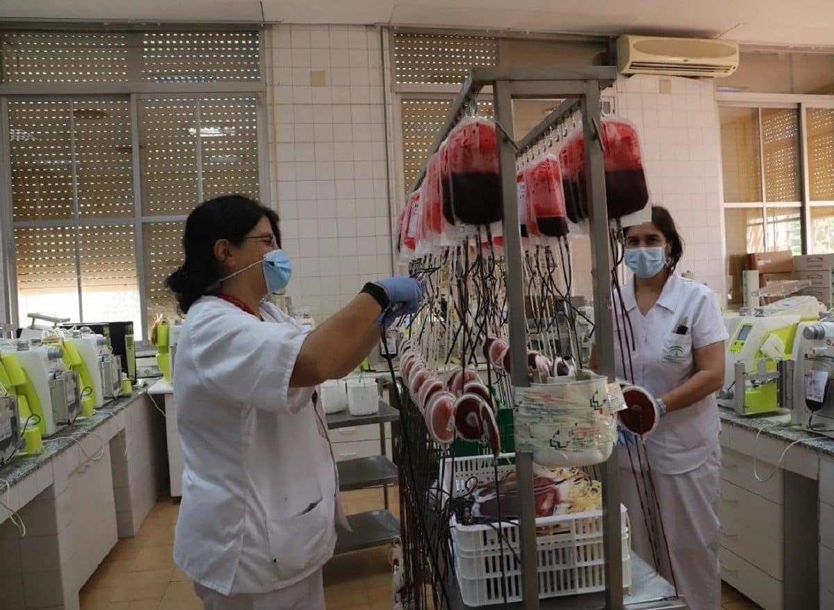 donación de sangre