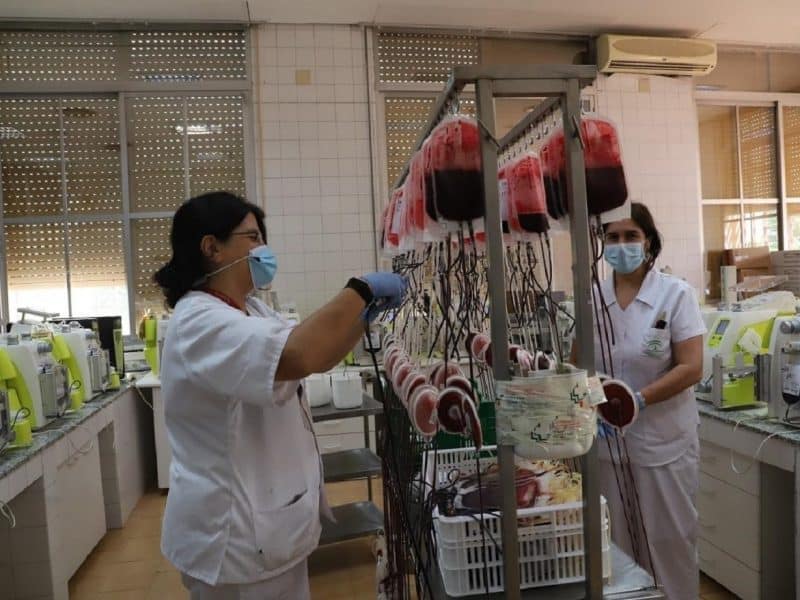 donación de sangre