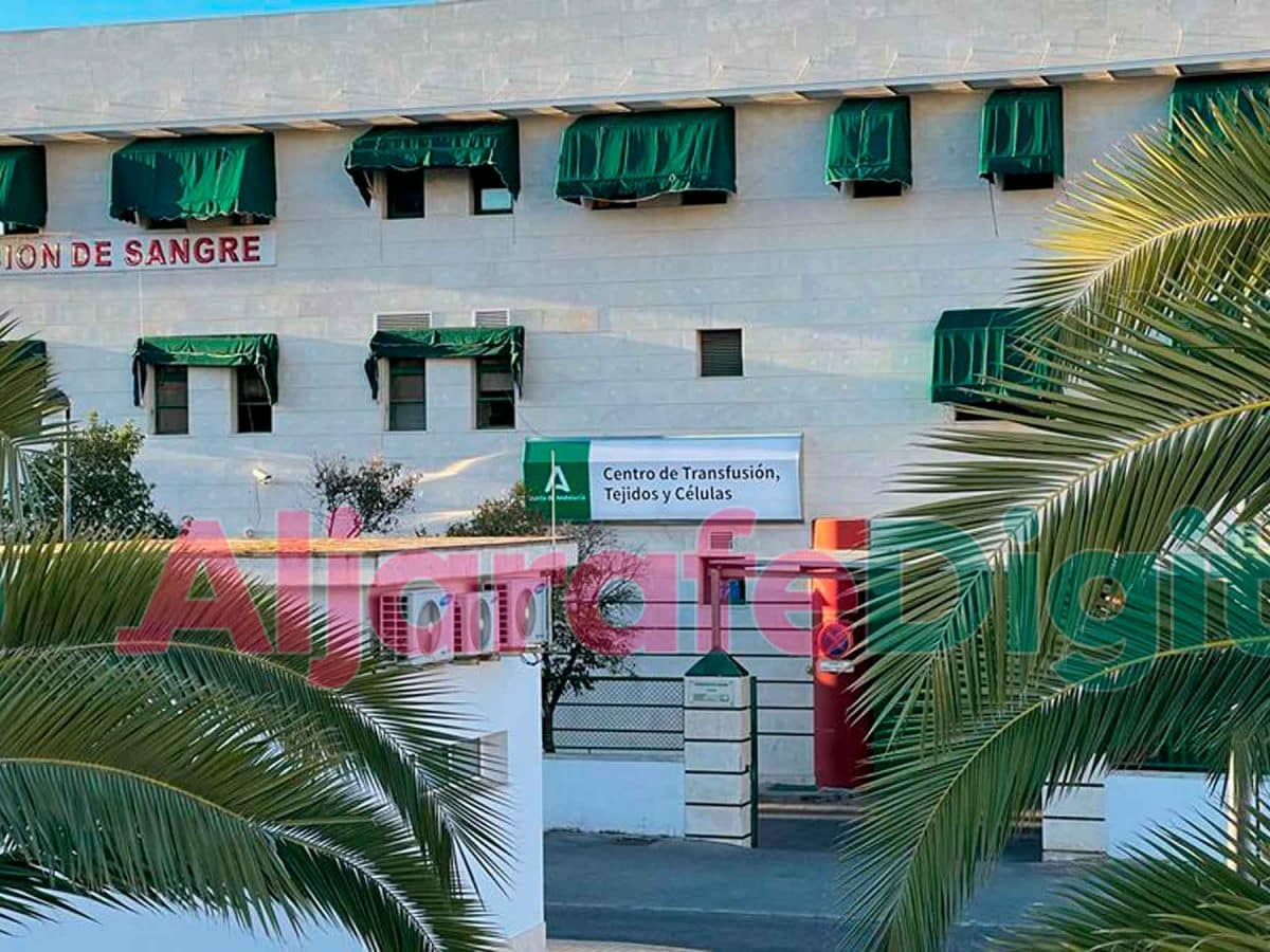 Centro de Transfusión, Tejidos y Células de Sevilla / Clara Fajardo