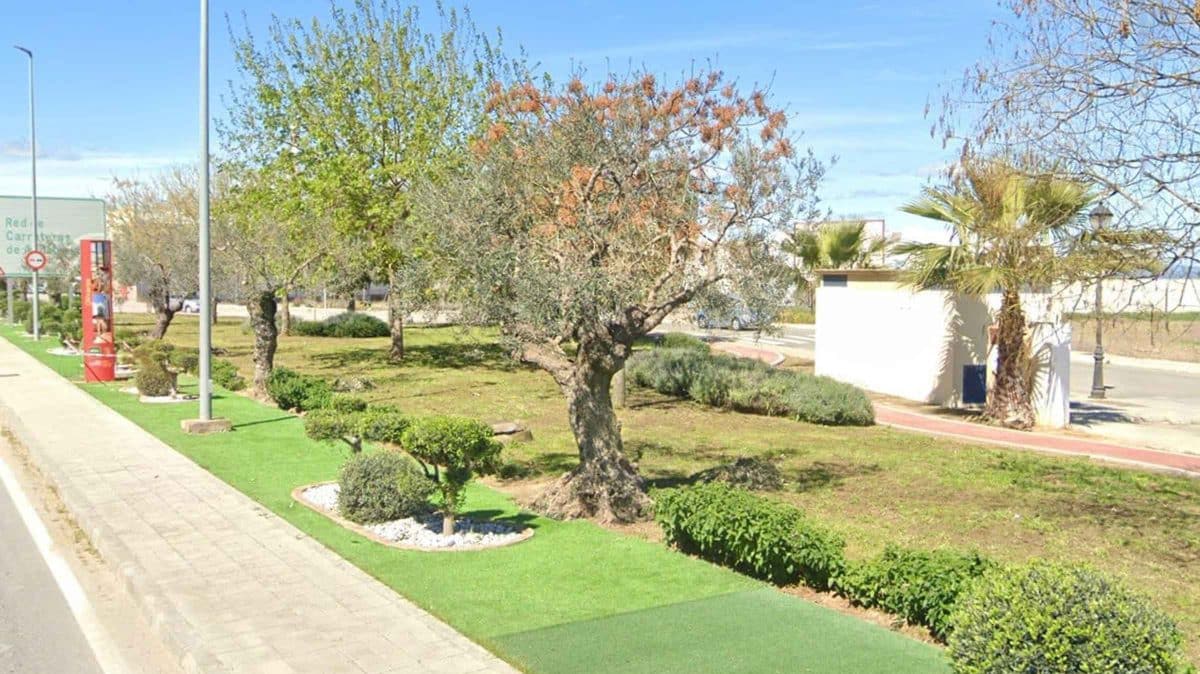 Imagen de zonas verdes del polígono de Olivares / AD