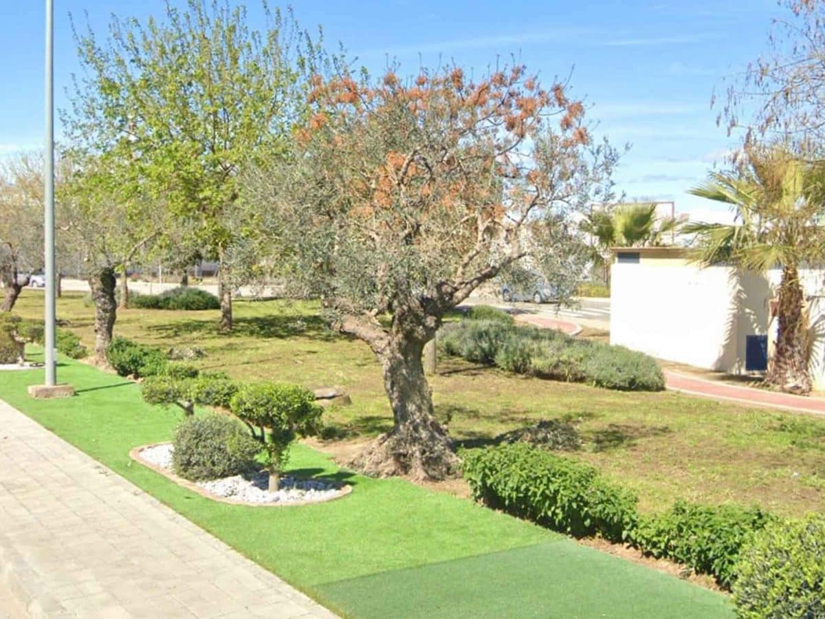 Imagen de zonas verdes del polígono de Olivares / AD