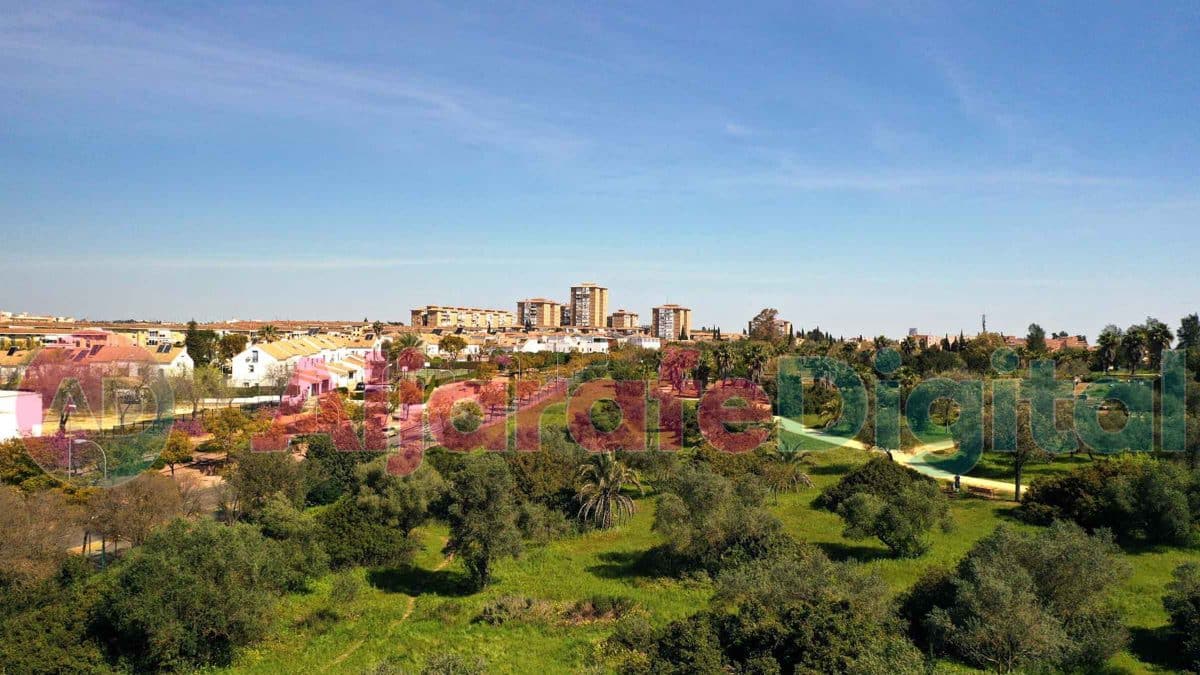 Zona de árboles de Mairena del Aljarafe / AD