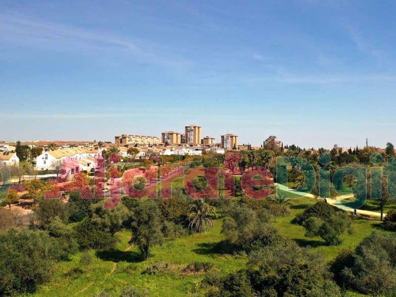 Zona de árboles de Mairena del Aljarafe / AD