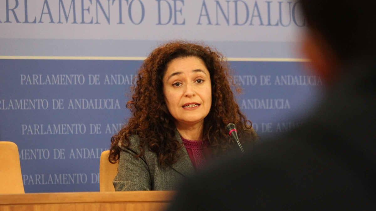 Inmaculada Nieto, diputada de IU denuncia la situación del Hospital de Bormujos / AD