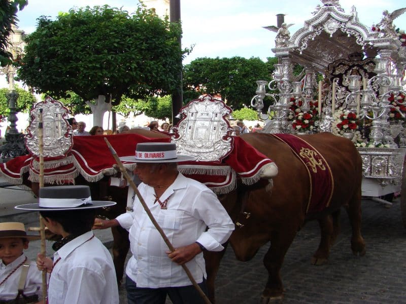 Rocío en Olivares