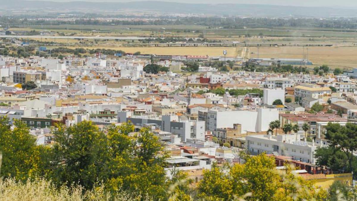 Camas