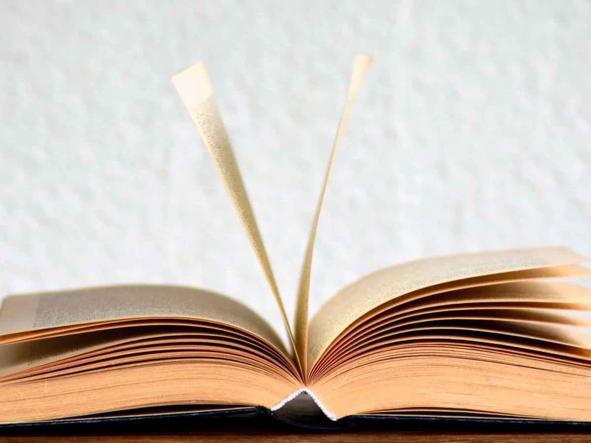 Imagen de un libro / Pixabay