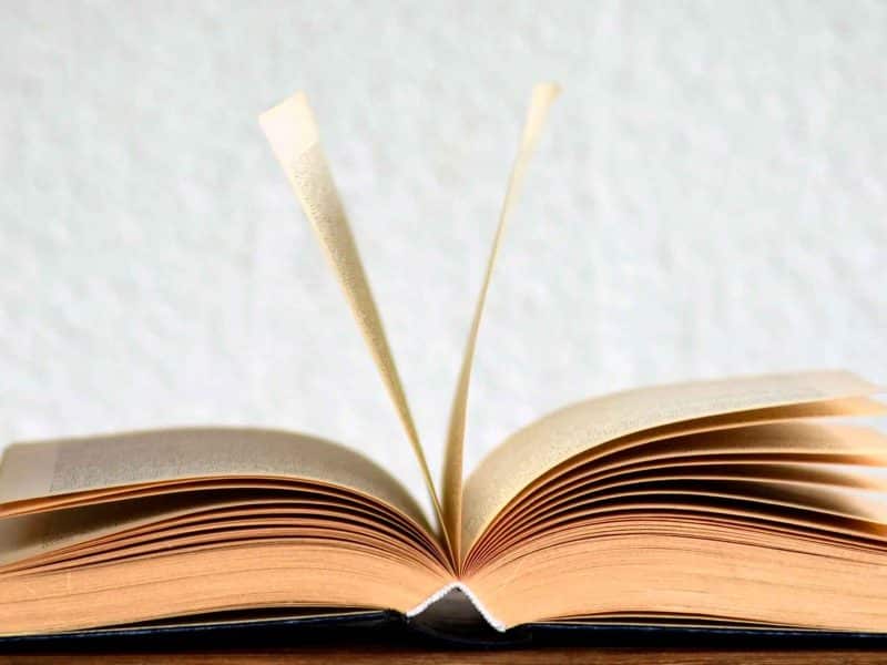 Imagen de un libro / Pixabay