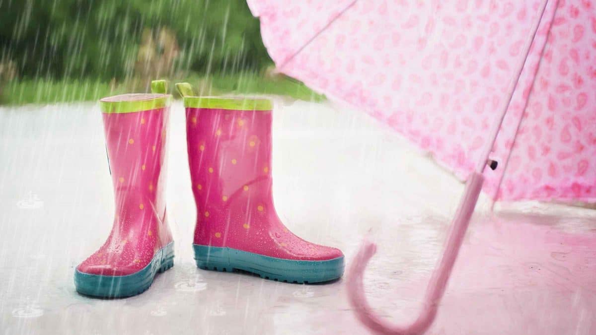 Imagen de un paraguas para resguardarse de la lluvia / Pixabay