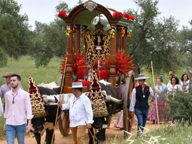 Romería de San Sebastián de Tomares / AD