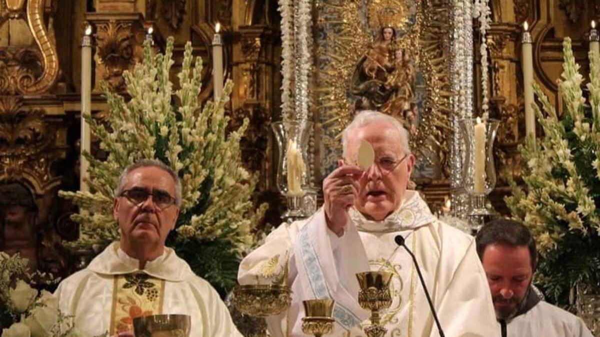 Cardenal Carlos Amigo Vallejo /AD