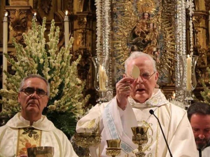 Cardenal Carlos Amigo Vallejo /AD