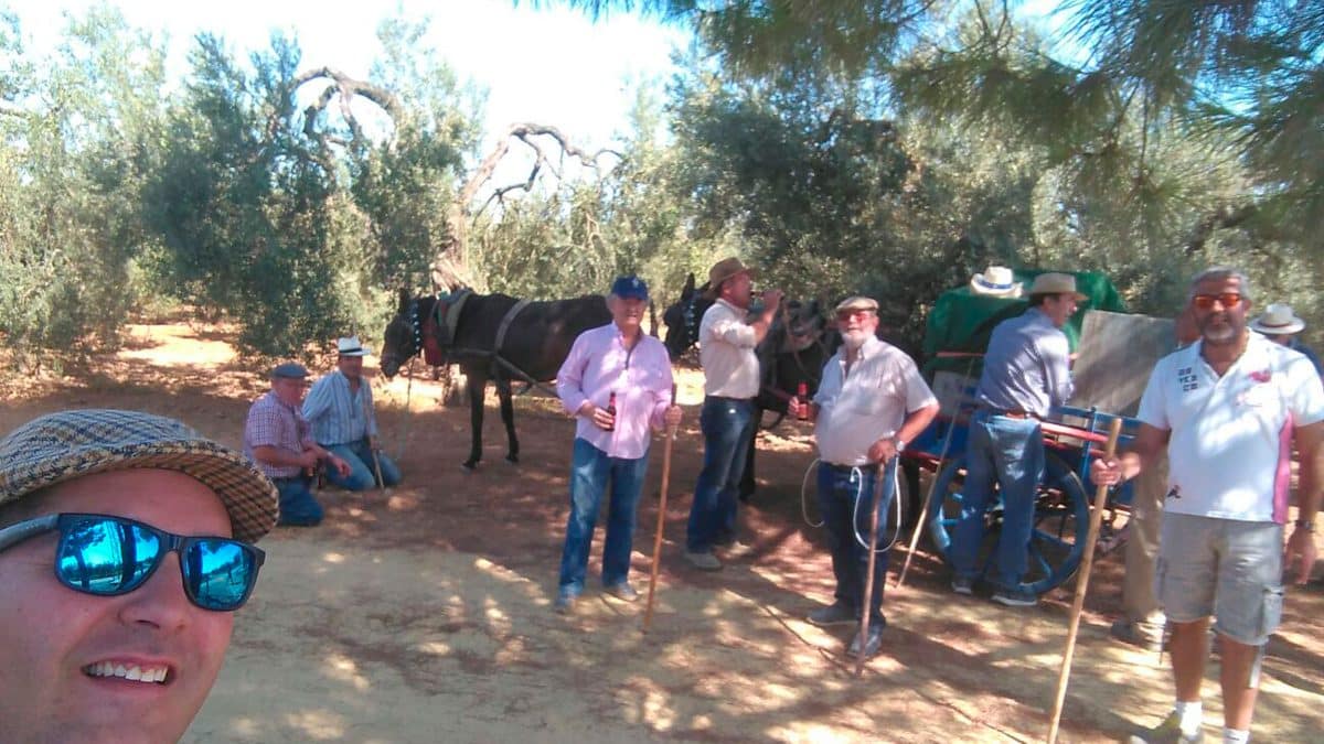 Imagen del Rocío de Salteras / AD