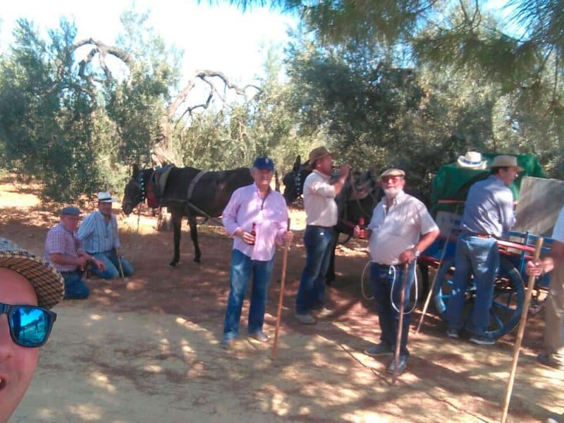 Imagen del Rocío de Salteras / AD