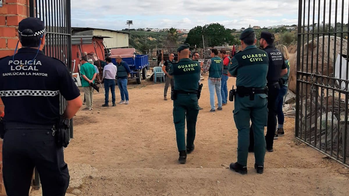 Imagen de la Guardia Civil en una operación en Sanlúcar La Mayor / AD