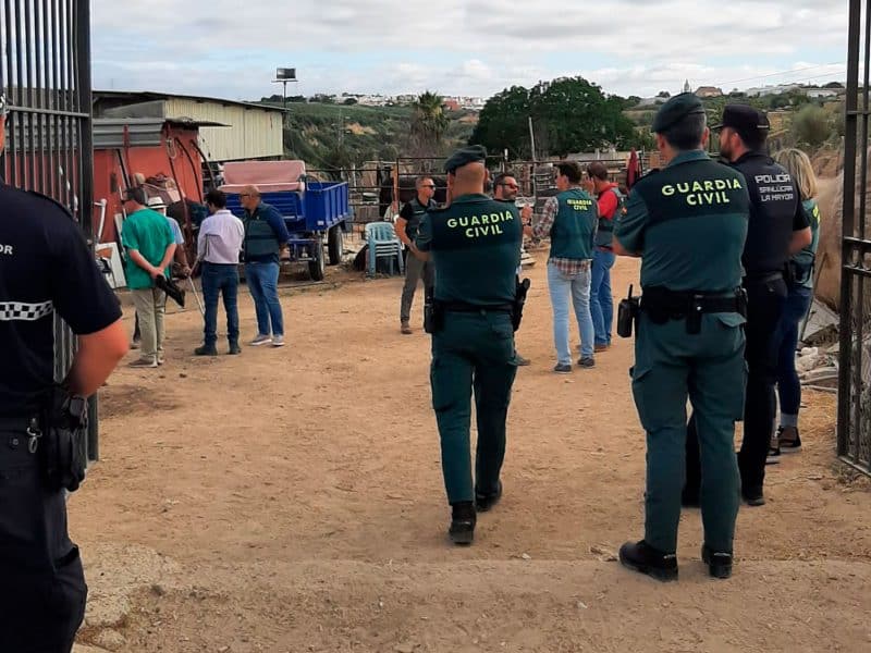 Imagen de la Guardia Civil en una operación en Sanlúcar La Mayor / AD