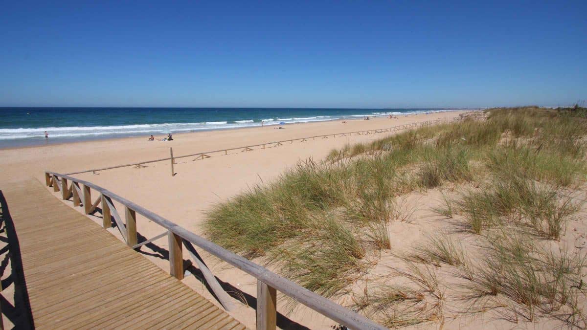 El Palmar, uno de los destinos de playas en Andalucía para este verano desde Gines / AD