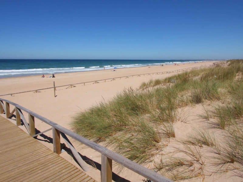 El Palmar, uno de los destinos de playas en Andalucía para este verano desde Gines / AD