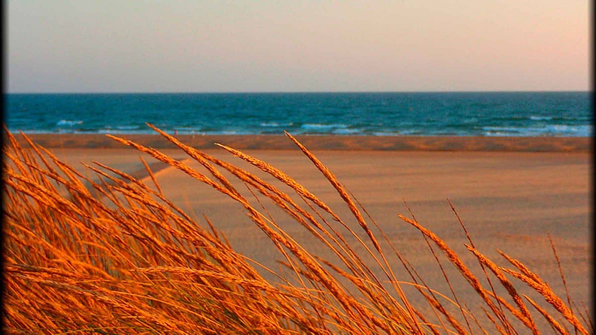 Imagen del destino de viajes a la playa de Punta Umbría en Huelva / Creative Commons
