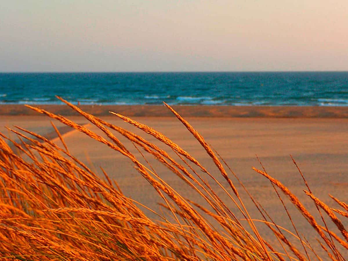 Imagen del destino de viajes a la playa de Punta Umbría en Huelva / Creative Commons