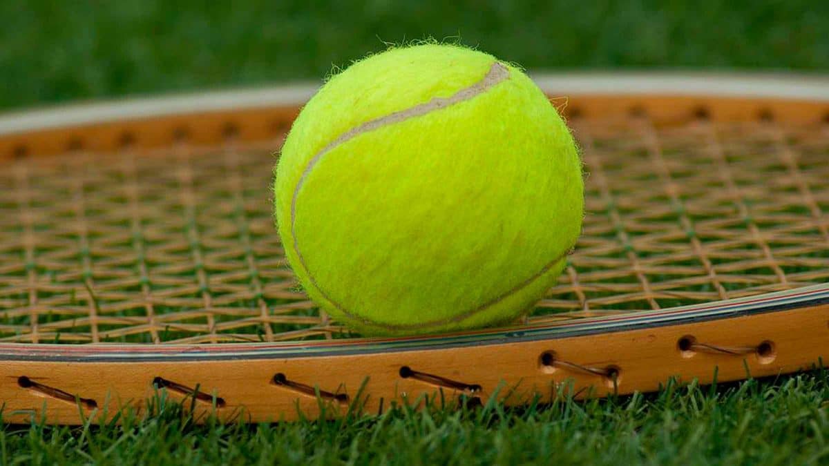 Pelota de Tenis/Pixabay