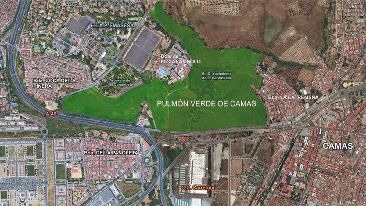 Pulmón verde en la zona del Carambolo de Camas / AD
