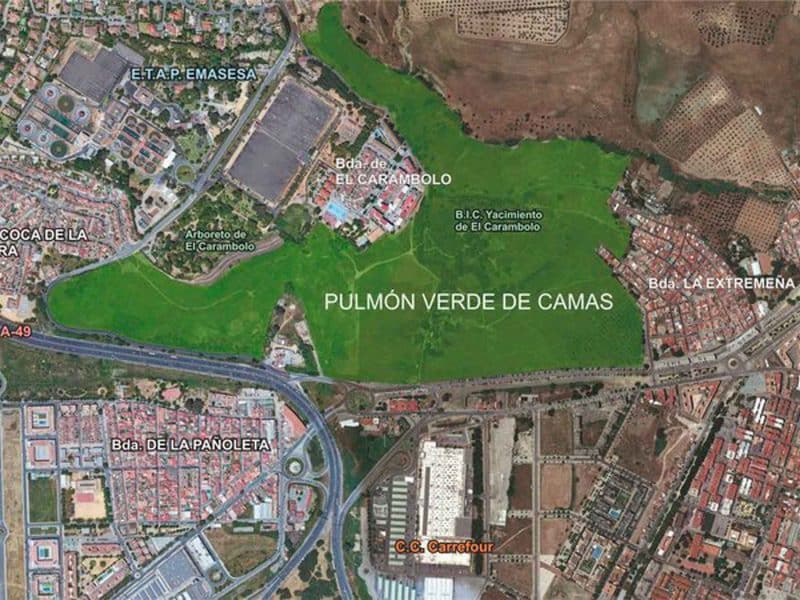 Pulmón verde en la zona del Carambolo de Camas / AD