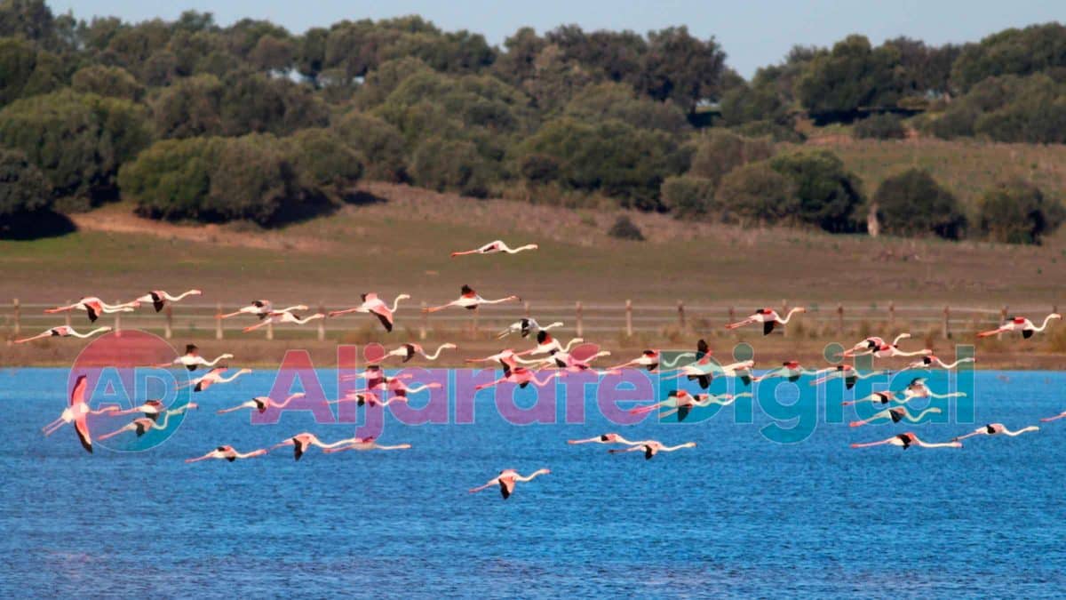 Imagen de la Laguna de la Dehesa de Abajo en periodos previos a la sequía actual / David Sánchez