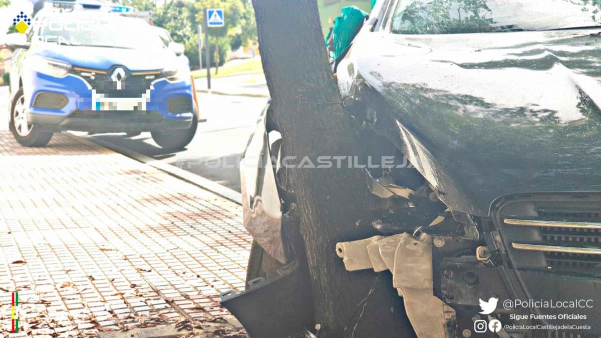 Imagen del choque contra un árbol en Castilleja de la Cuesta / AD