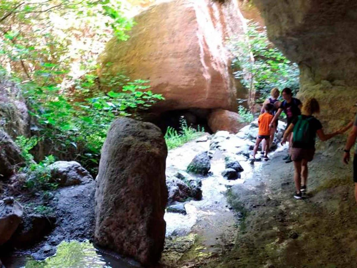 Imagen de una de las rutas realizadas con 'Ciencia al Fresquito' para el ocio este verano / AD