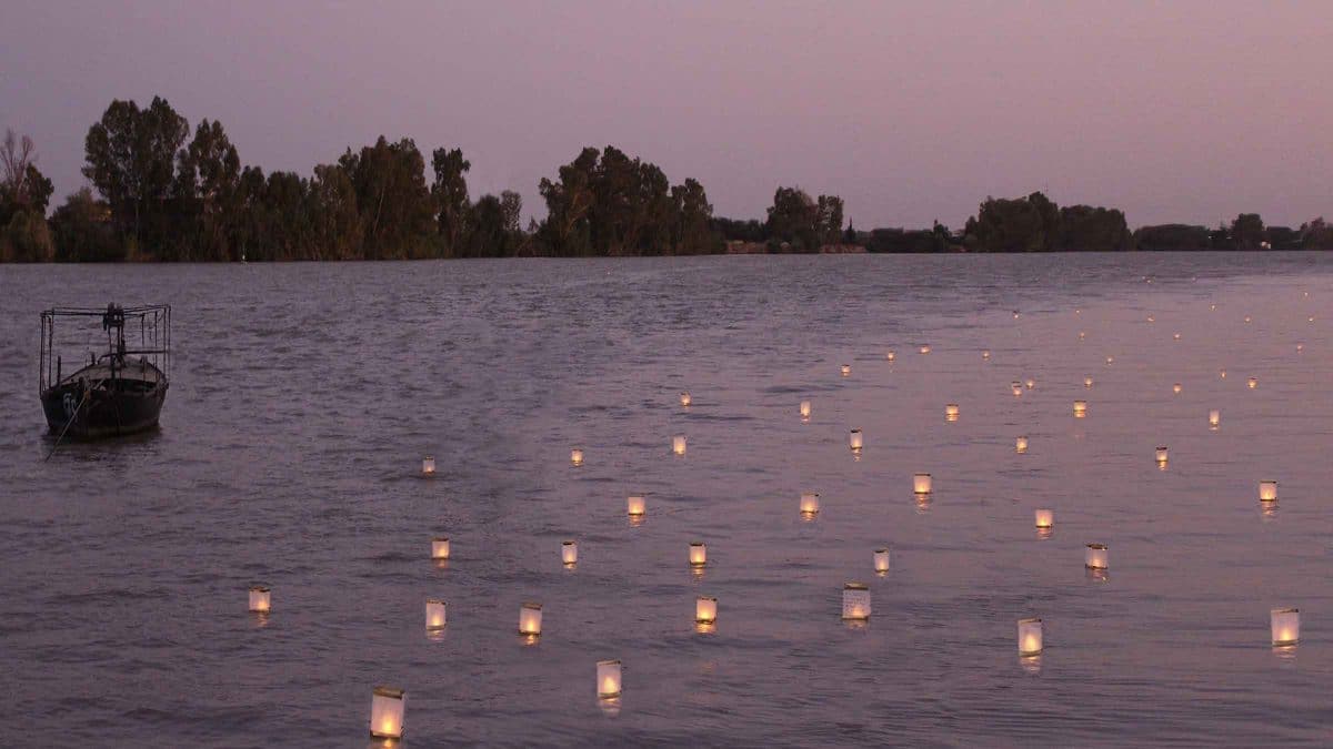 Imagen de las velas en el río de Coria del Río / AD