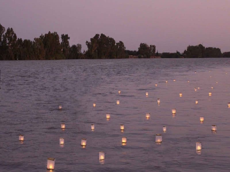 Imagen de las velas en el río de Coria del Río / AD
