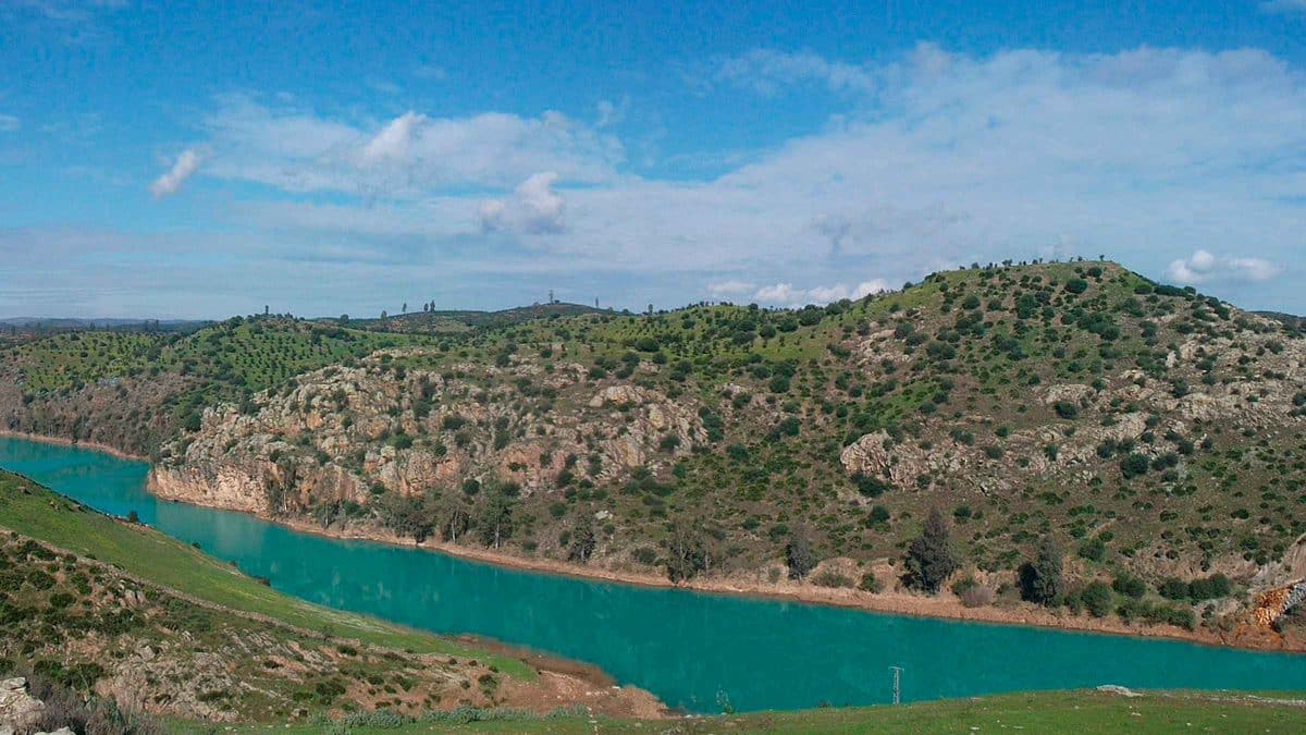 Imagen de la zona afectada en Aznalcóllar por el vertido de la mina / Wikipedia