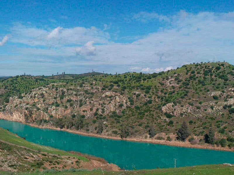 Imagen de la zona afectada en Aznalcóllar por el vertido de la mina / Wikipedia