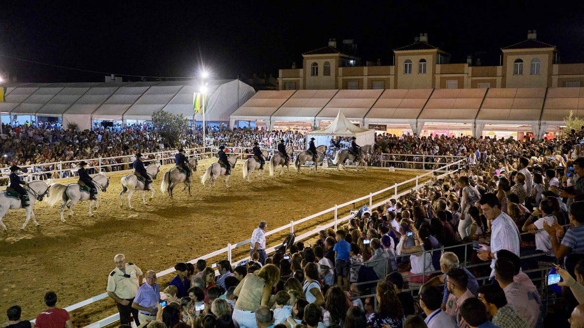 Espectáculo de Caballos en Gines / AD