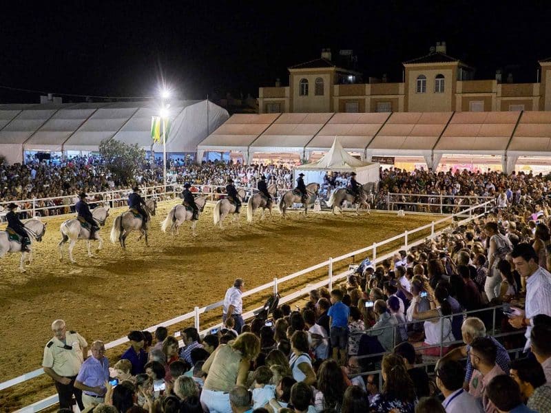 Espectáculo de Caballos en Gines / AD