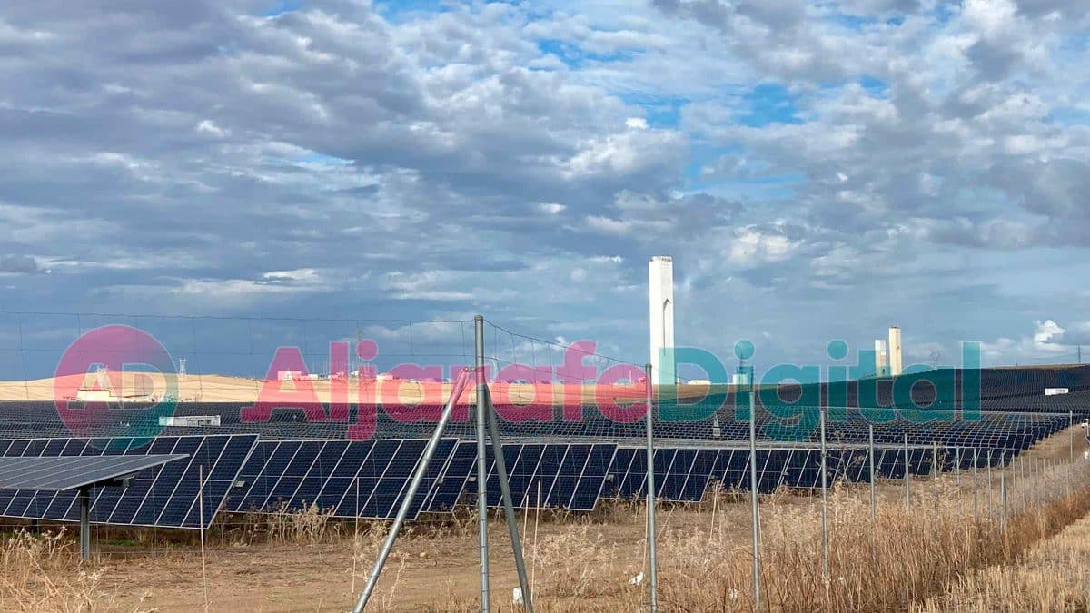 Imagen de placas fotovoltaicas en el Aljarafe / AD