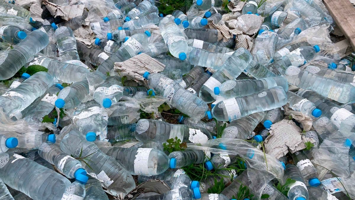Imagen de las botellas de plásticos encontradas en Guillena / AD