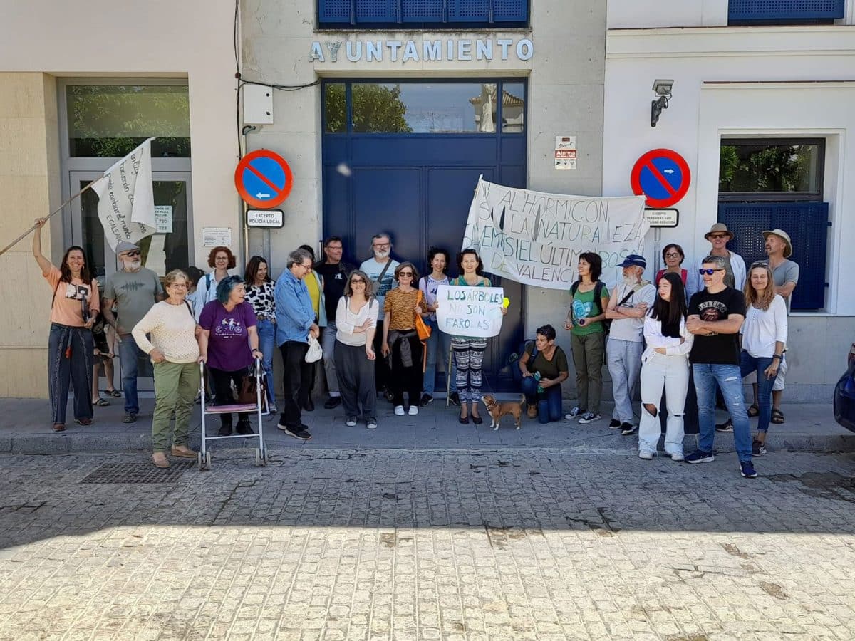 Vecinos de Valencina de la Concepción se concentran frente a su Ayuntamiento para proteger su último bosque / Clara Fajardo