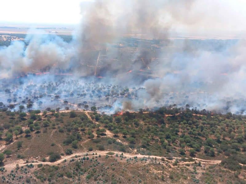 Incendio en Puebla del Río